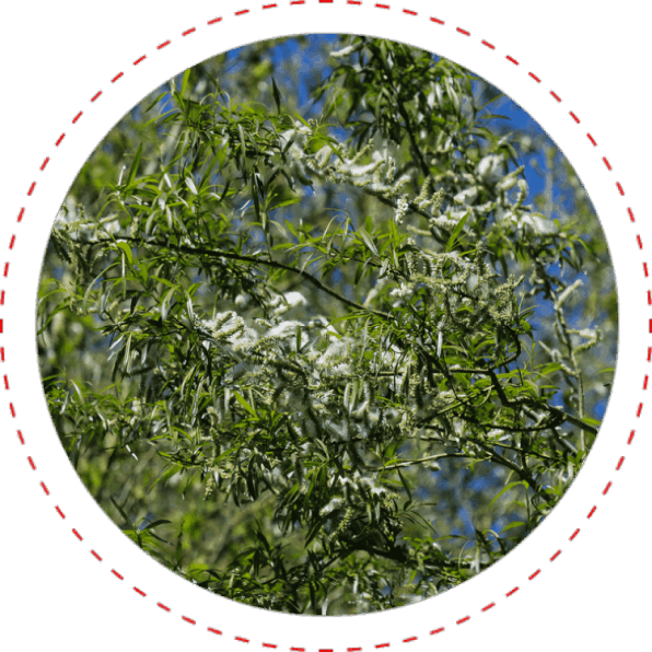 CardioNEX Glucose Management