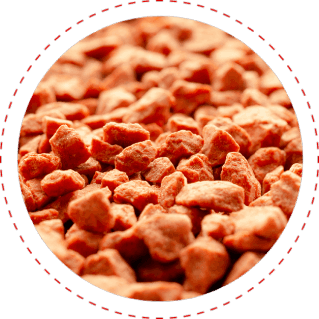 CardioNEX Glucose Management